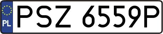PSZ6559P
