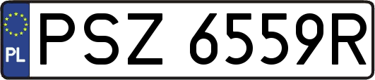 PSZ6559R
