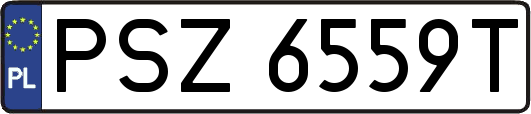 PSZ6559T