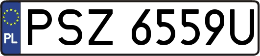 PSZ6559U