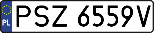 PSZ6559V