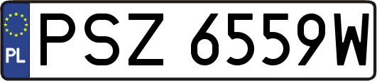 PSZ6559W
