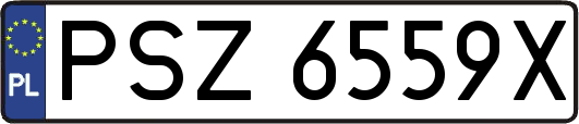 PSZ6559X