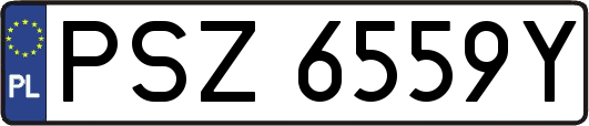 PSZ6559Y