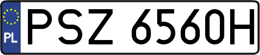 PSZ6560H