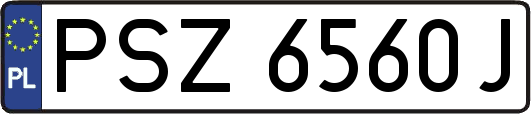 PSZ6560J