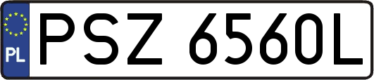 PSZ6560L