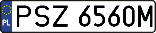 PSZ6560M