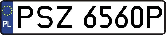 PSZ6560P