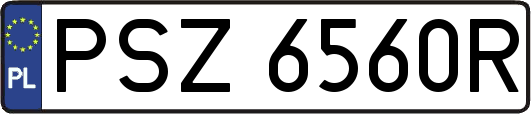 PSZ6560R