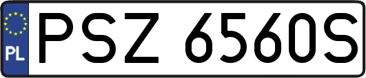 PSZ6560S