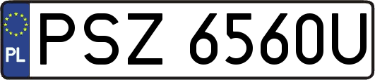 PSZ6560U
