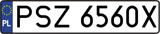 PSZ6560X