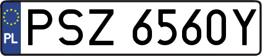 PSZ6560Y