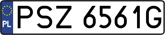 PSZ6561G