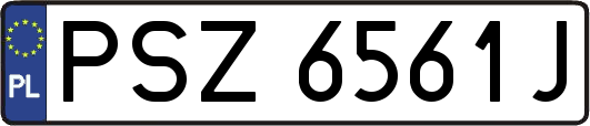 PSZ6561J
