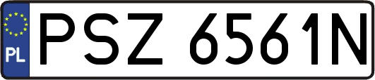 PSZ6561N