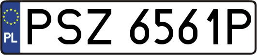 PSZ6561P