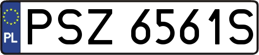 PSZ6561S