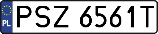 PSZ6561T