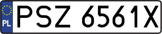 PSZ6561X