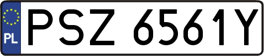 PSZ6561Y