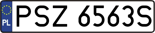 PSZ6563S