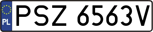 PSZ6563V