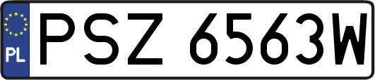 PSZ6563W