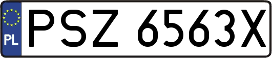 PSZ6563X