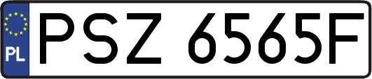 PSZ6565F