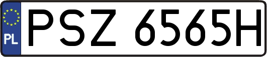 PSZ6565H