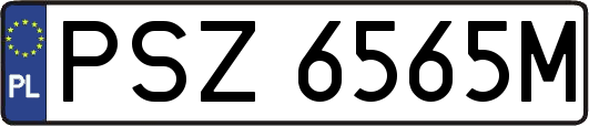 PSZ6565M