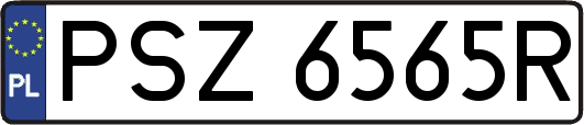 PSZ6565R