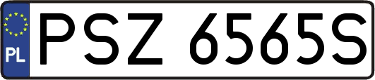 PSZ6565S