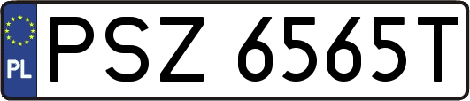 PSZ6565T