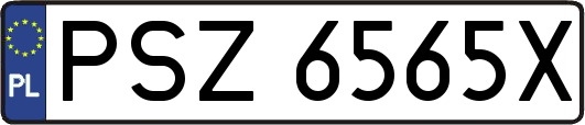 PSZ6565X