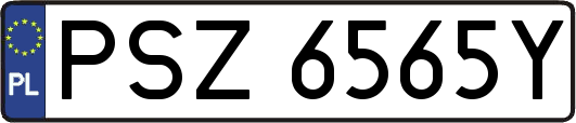 PSZ6565Y