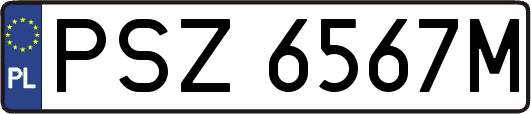 PSZ6567M