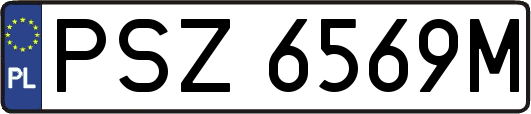 PSZ6569M
