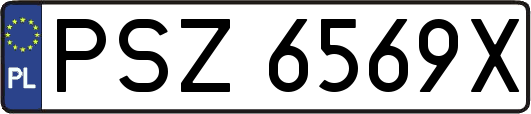 PSZ6569X