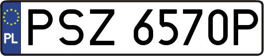 PSZ6570P