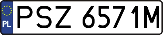 PSZ6571M