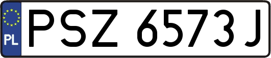 PSZ6573J