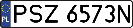 PSZ6573N