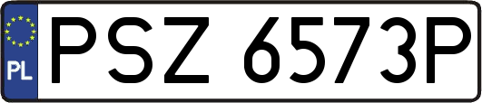 PSZ6573P