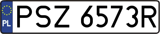 PSZ6573R