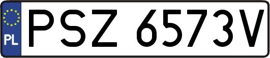 PSZ6573V