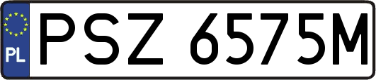 PSZ6575M