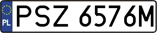 PSZ6576M